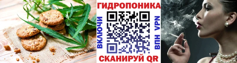 мега ссылка  Рудня  Cannafood марихуана 