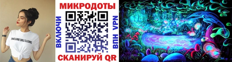 Псилоцибиновые грибы мухоморы  продажа наркотиков  кракен как зайти  Рудня 
